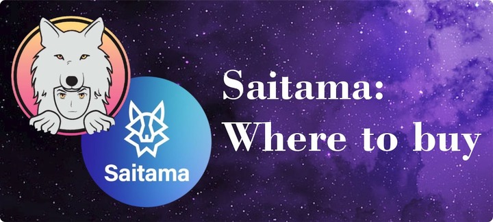 Where to buy Saitama Inu