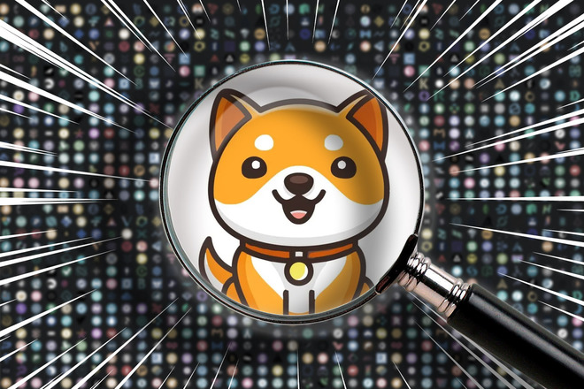 Baby Doge logo