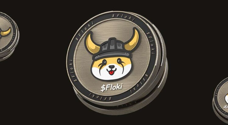 FLOKI coins