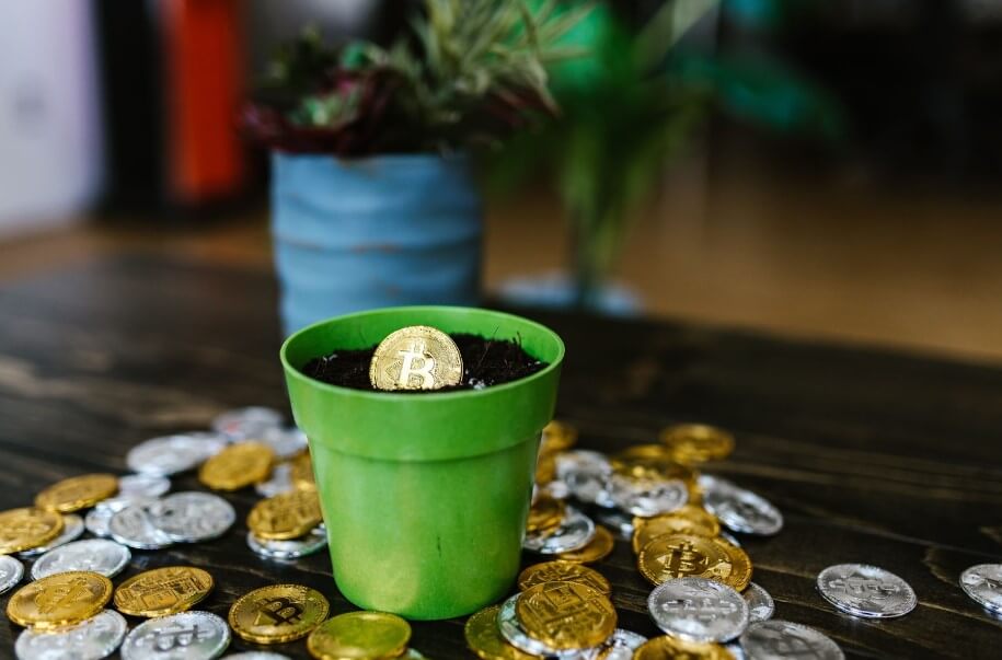 A pot with a gold Bitcoin on a wooden table