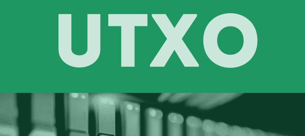 UTXO model is used by Bitcoin