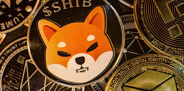 A SHIB coin